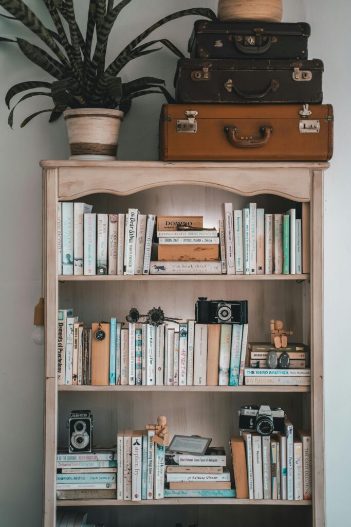 Home A vintage-themed bookshelf featuring books, cameras, and decorative items, perfect for interior decor inspiration.