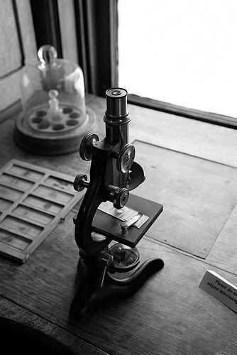 41dffdfe50bee0092d94d98c020a2458