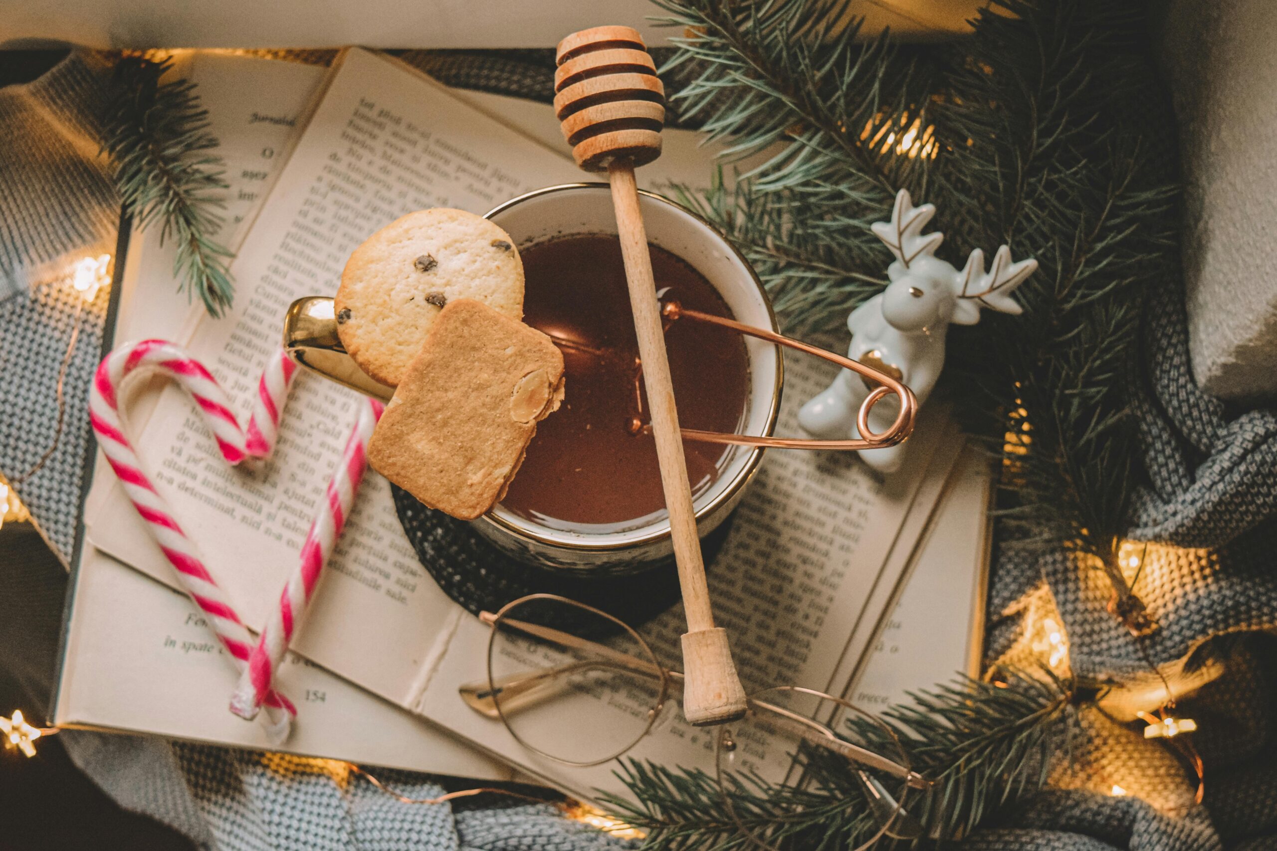 Miscellaneous pexels malina sirbu 3606553 10609798