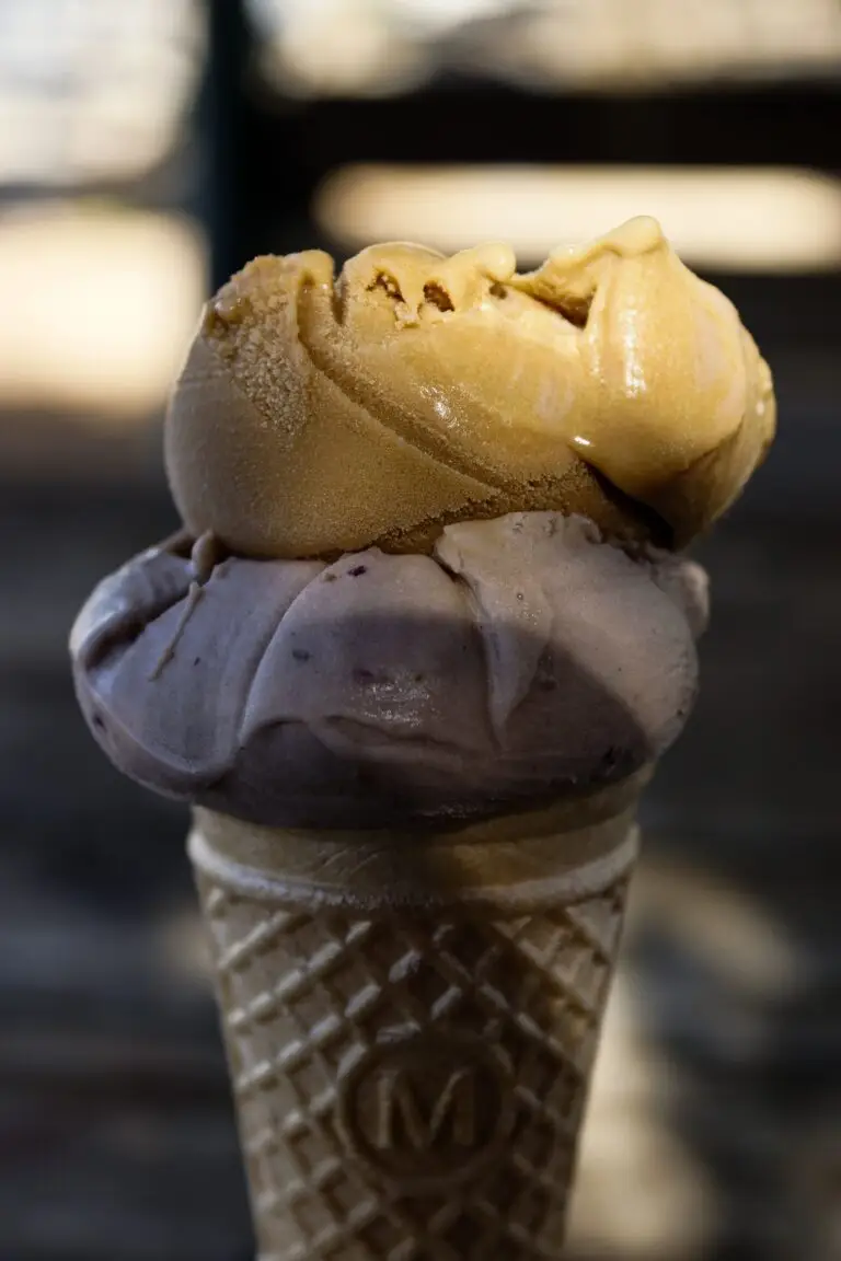 Close-up of a double scoop ice cream cone with coffee and blueberry flavors in natural light.