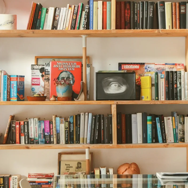 Wooden bookshelf filled with diverse books and decor in a cozy setting.