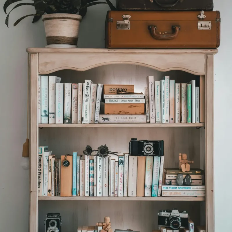 A vintage-themed bookshelf featuring books, cameras, and decorative items, perfect for interior decor inspiration.